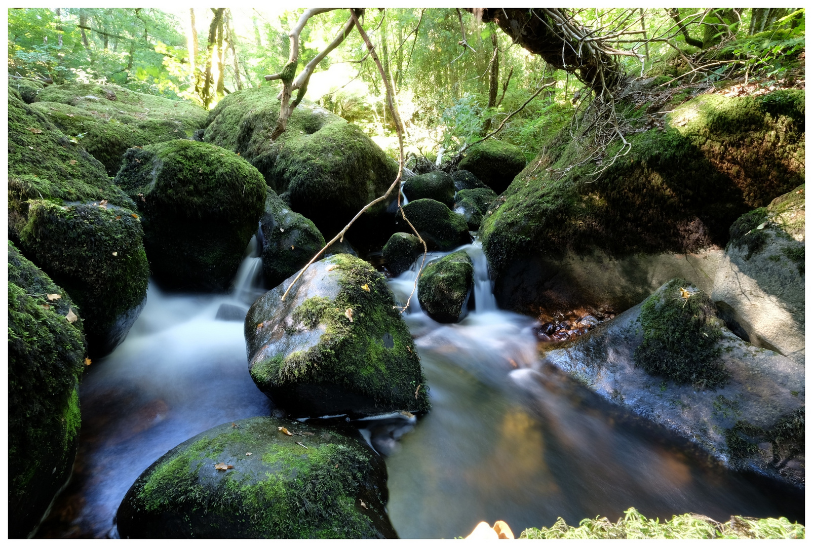 Becky Falls im Dartmoor