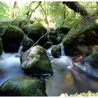 Becky Falls im Dartmoor