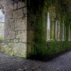 Bective Abbey