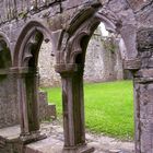 Bective Abbey