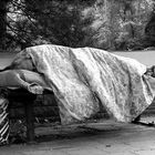 Bed NO Breakfast für eine Nacht...