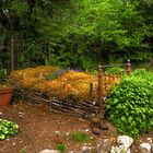 Bed of Herbs