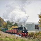 Bedeckte Herbstwetterlage auf Rügen