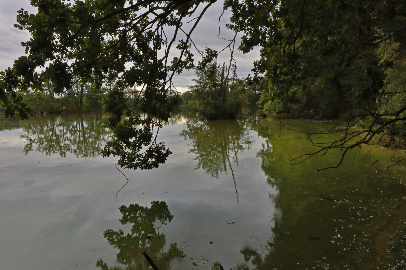 Bedeckter Tag am Mittelteich