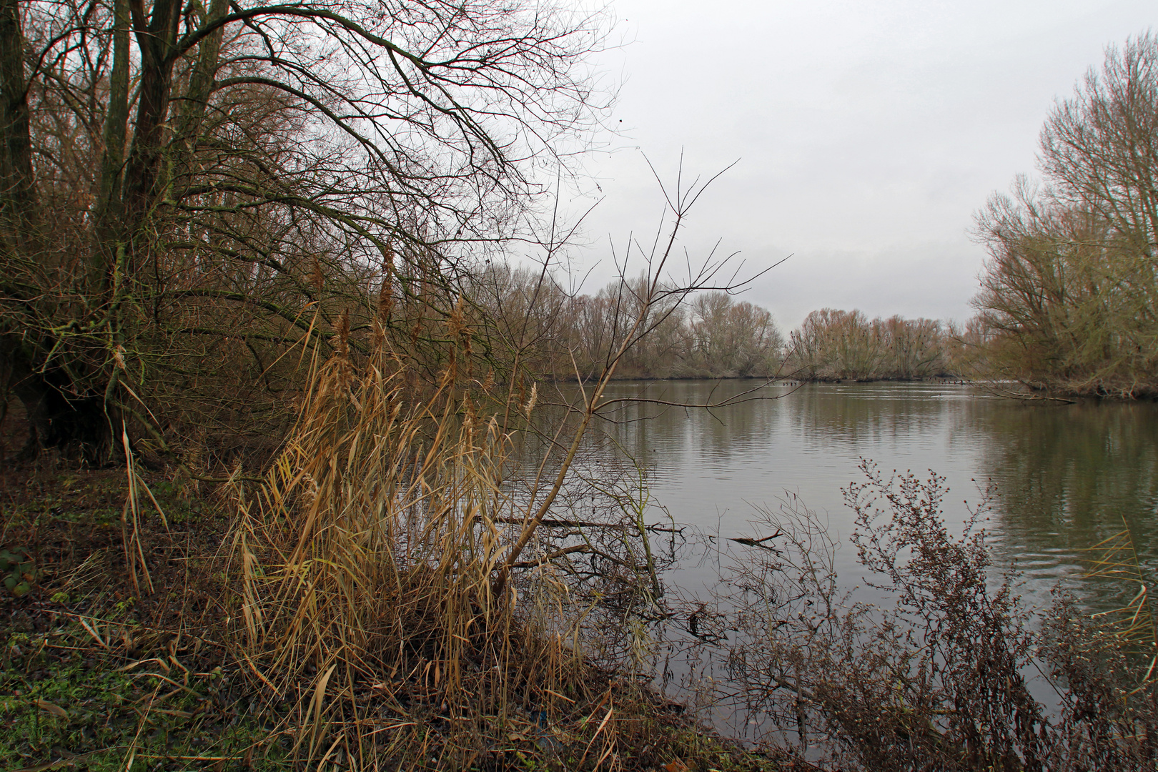 Bedeckter Tag am Wasser