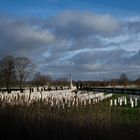 Bedford House Cemetery