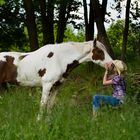 Bedingungslose Liebe