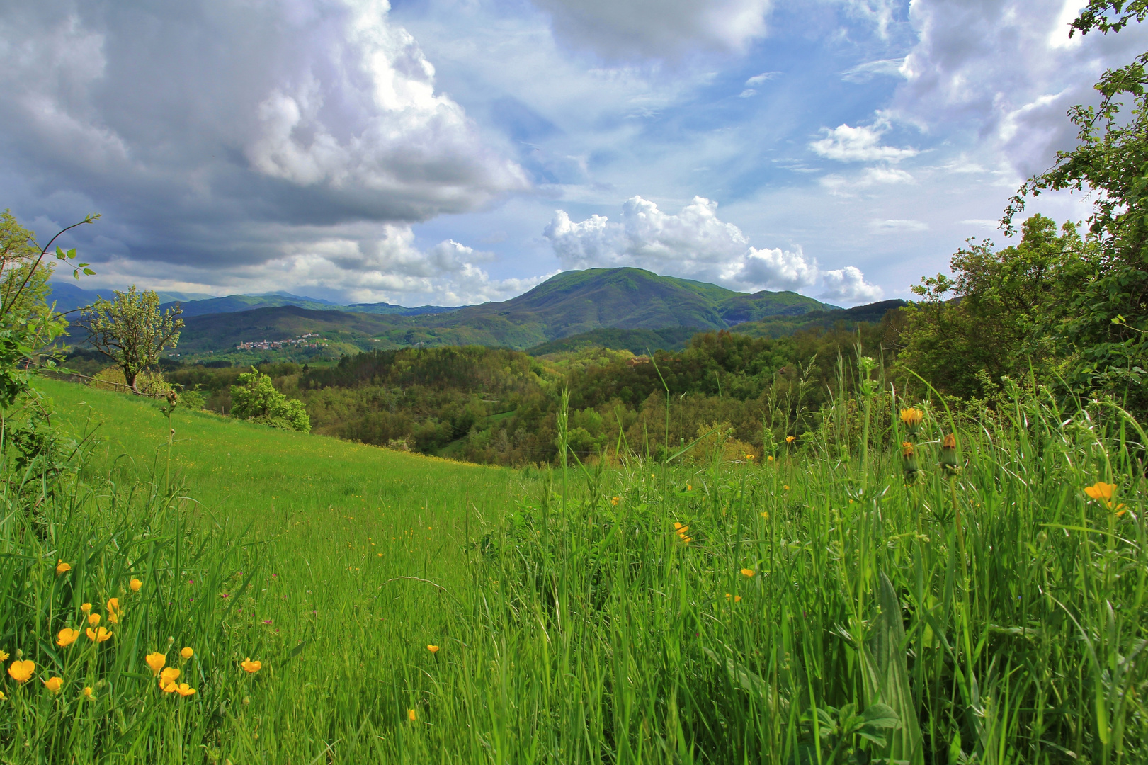 Bedonia, alta valle del Taro-Tornolo e Monte Zuccone