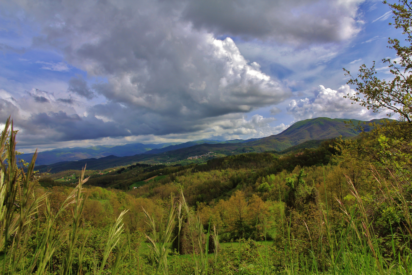 Bedonia, Costa di Castagnola. Vista del Monte Zuccone