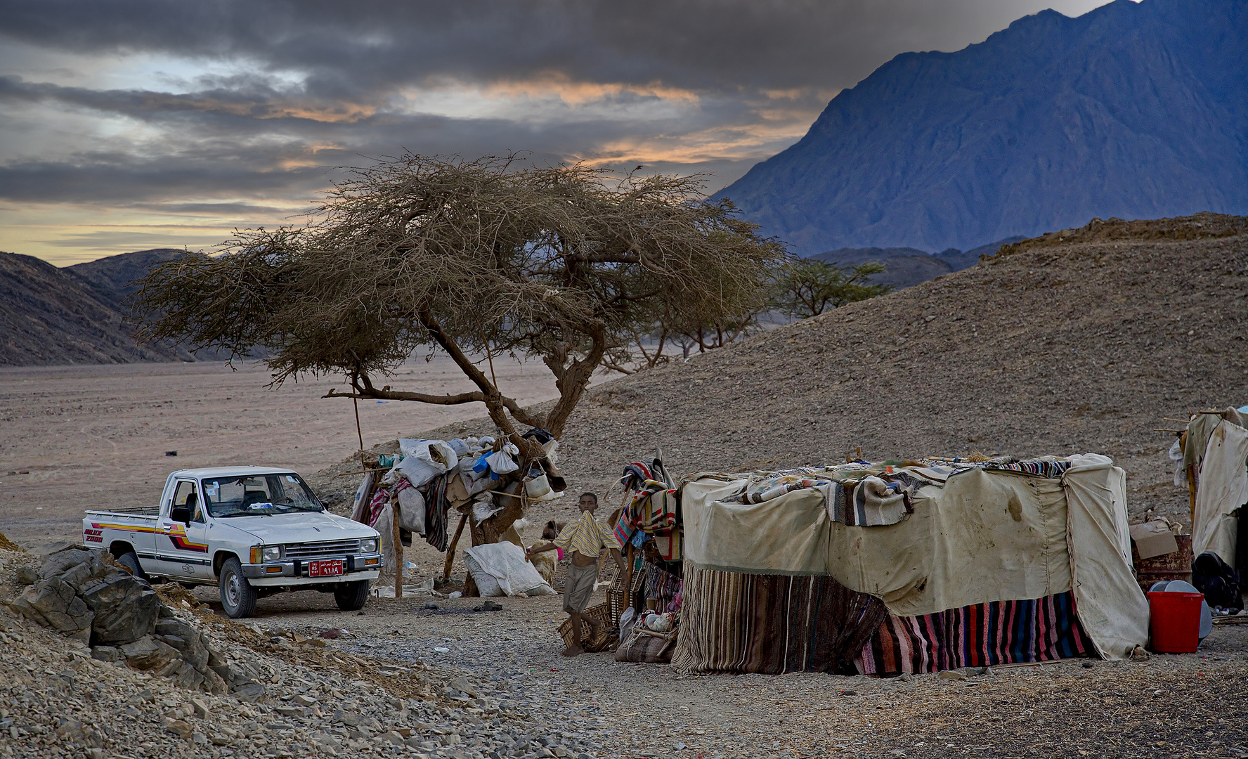 Bedouin camp 