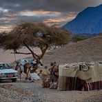 Bedouin camp 