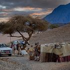 Bedouin camp 