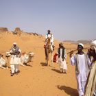 Bedouines in Sudan