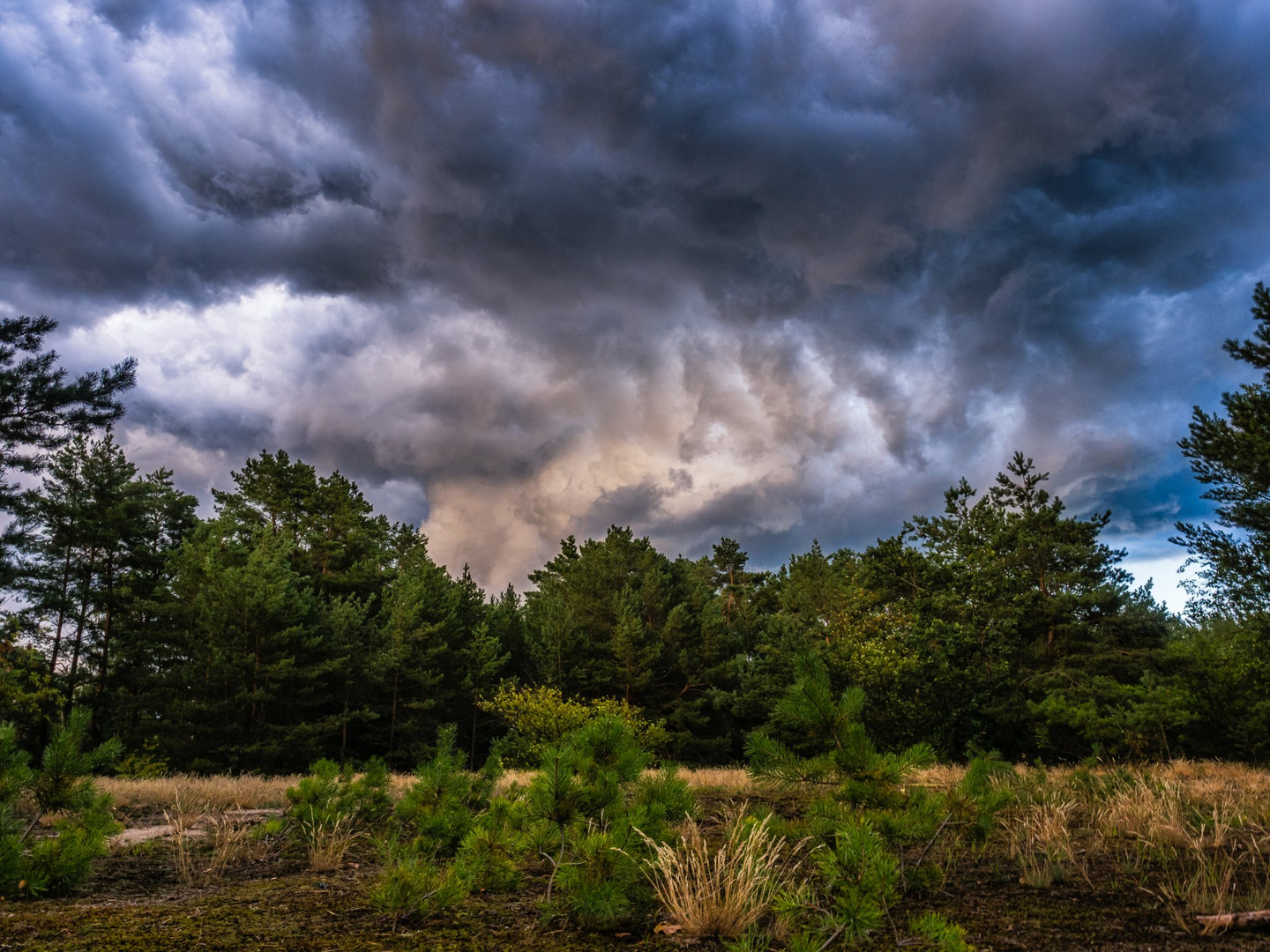 Bedrohliche Wetterstimmung (aber nix ist passiert)