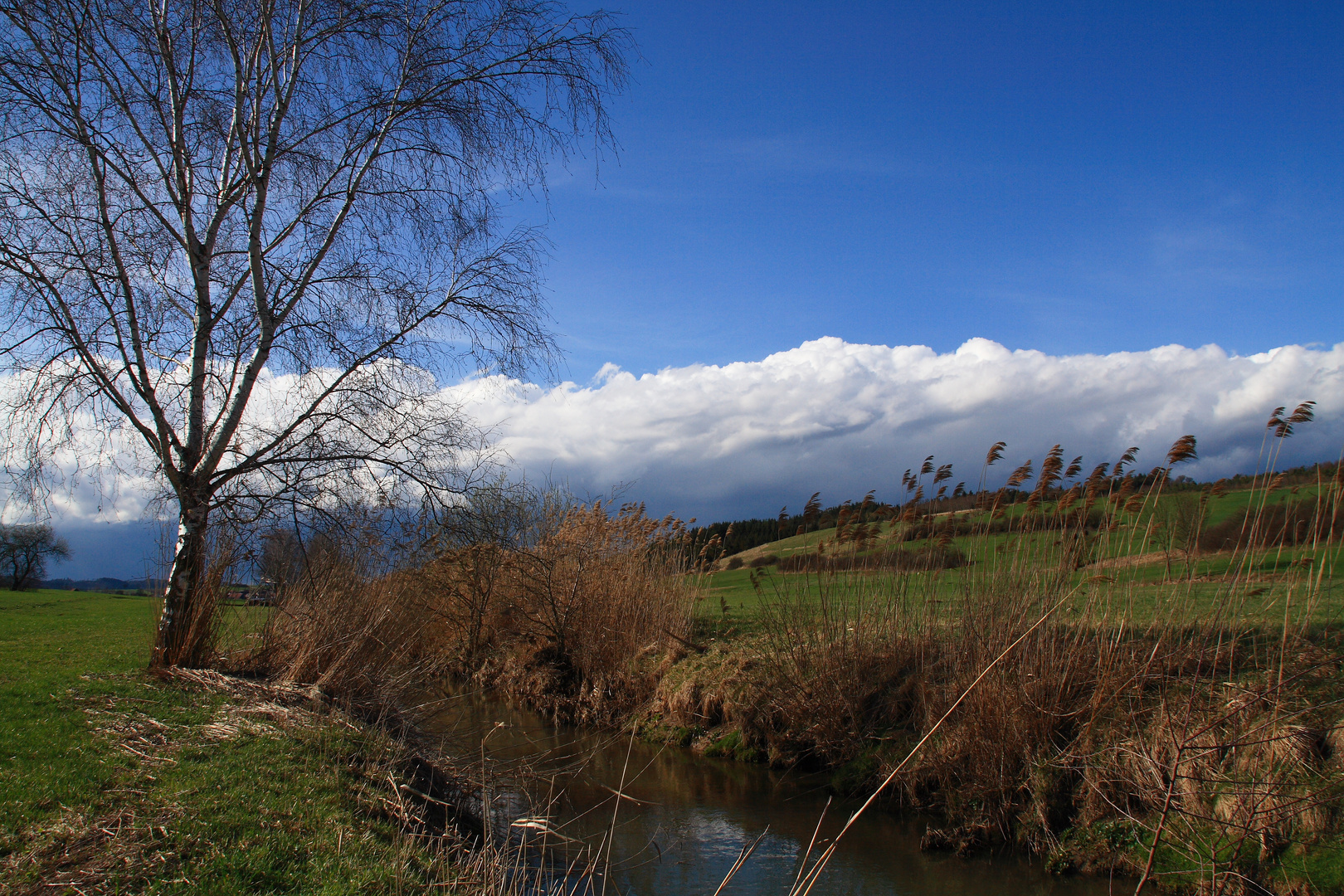 Bedrohliche Wolken überm Bühlertal