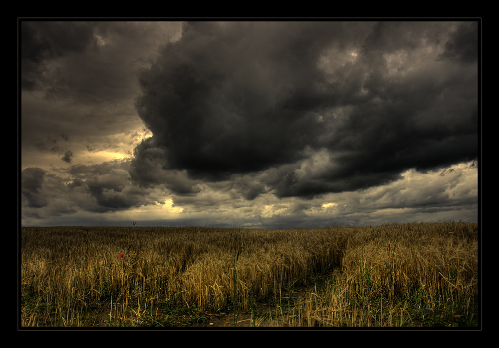 bedrohliche Wolken ziehen auf....