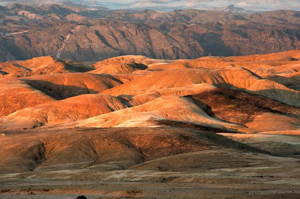 Bedroht - Endangered