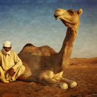 Beduin and his Camel