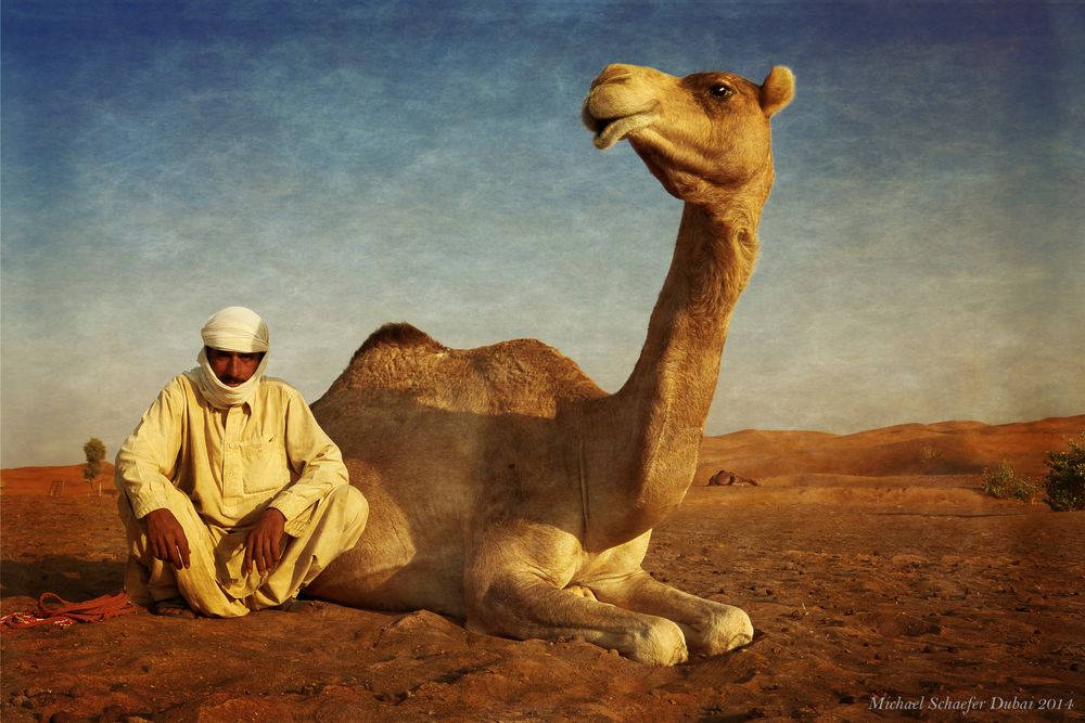 Beduin and his Camel