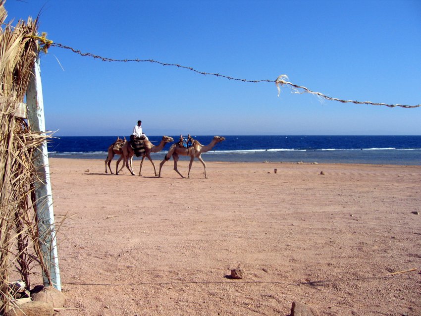 Beduine am Strand