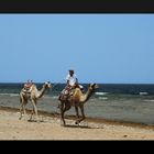 Beduine am Strand