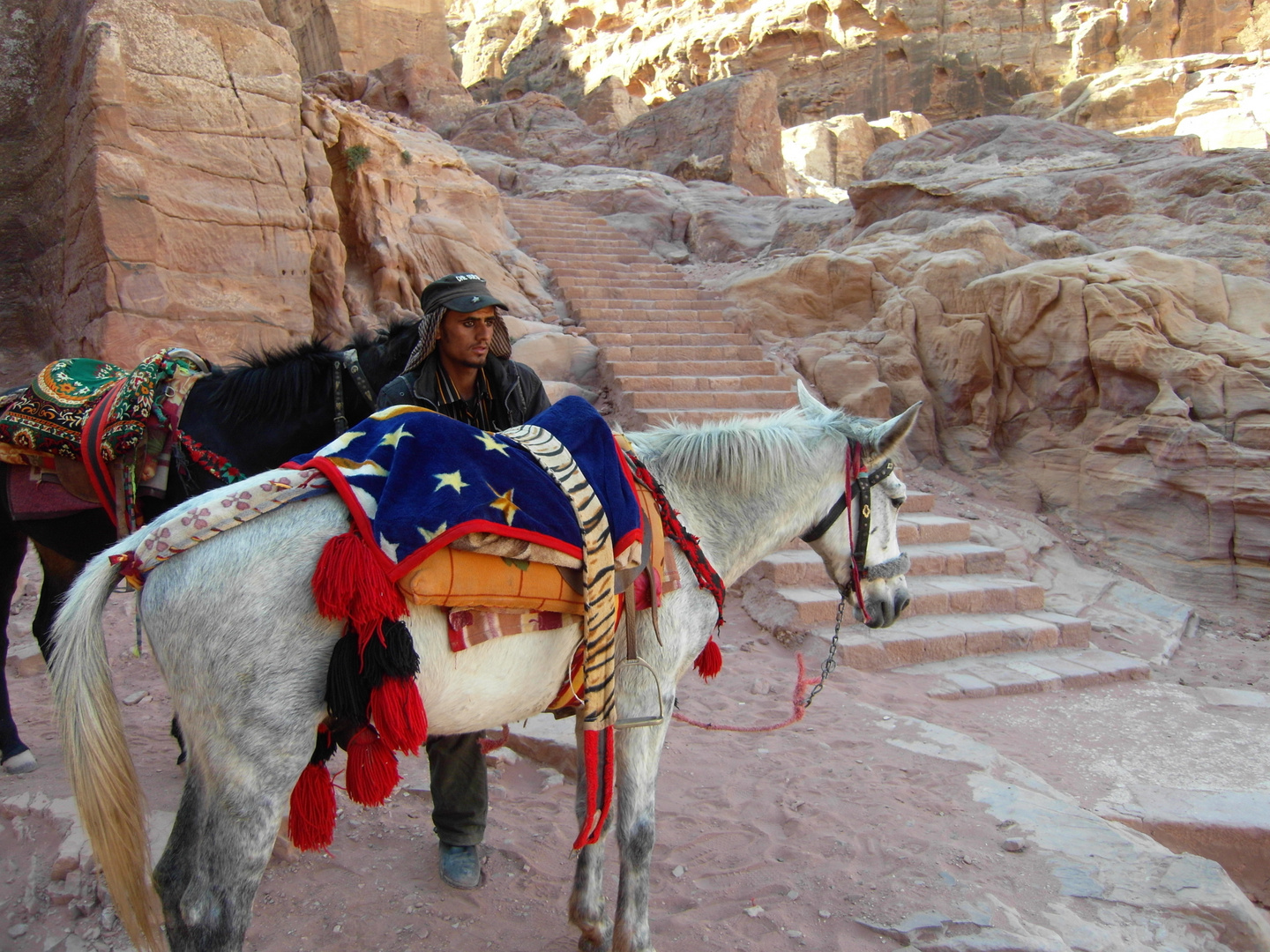 Beduine in Petra, Jordanien - Eselreiten für Touristen