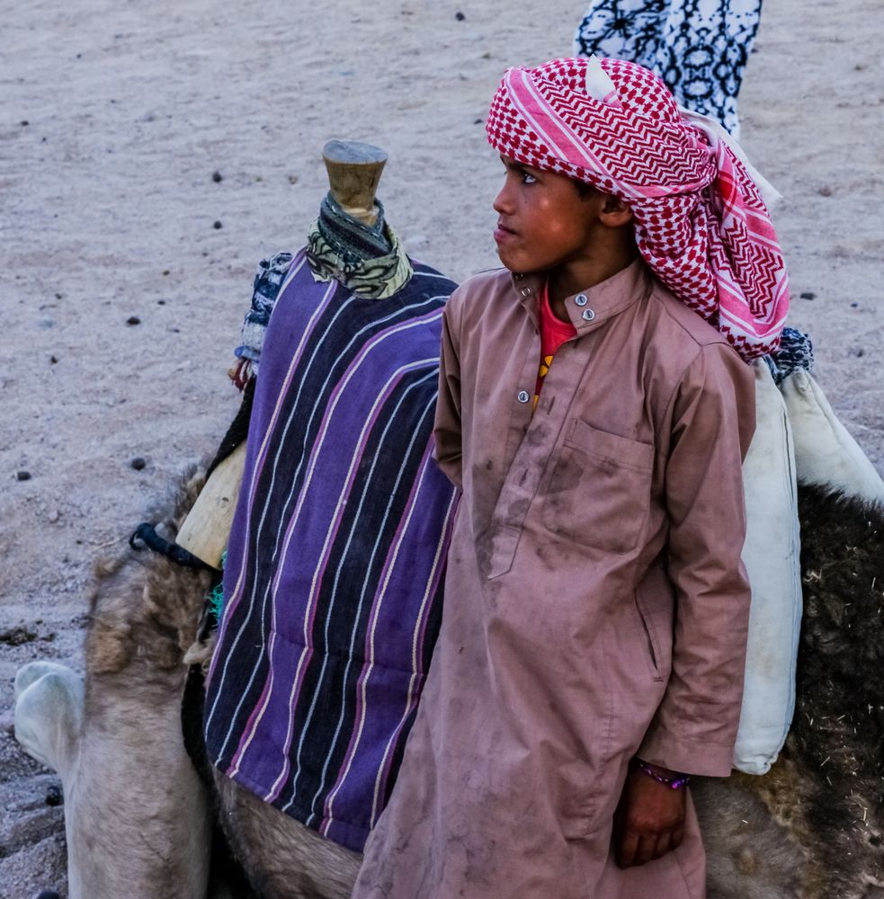 Beduinen Foto & Bild africa, egypt, north africa Bilder auf