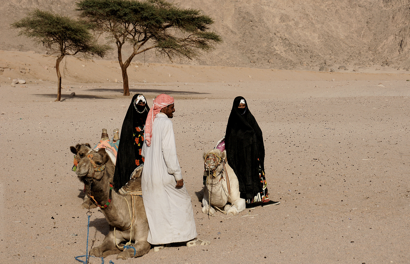 Beduinen in der östlichen Wüste in Ägypten