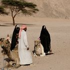 Beduinen in der östlichen Wüste in Ägypten