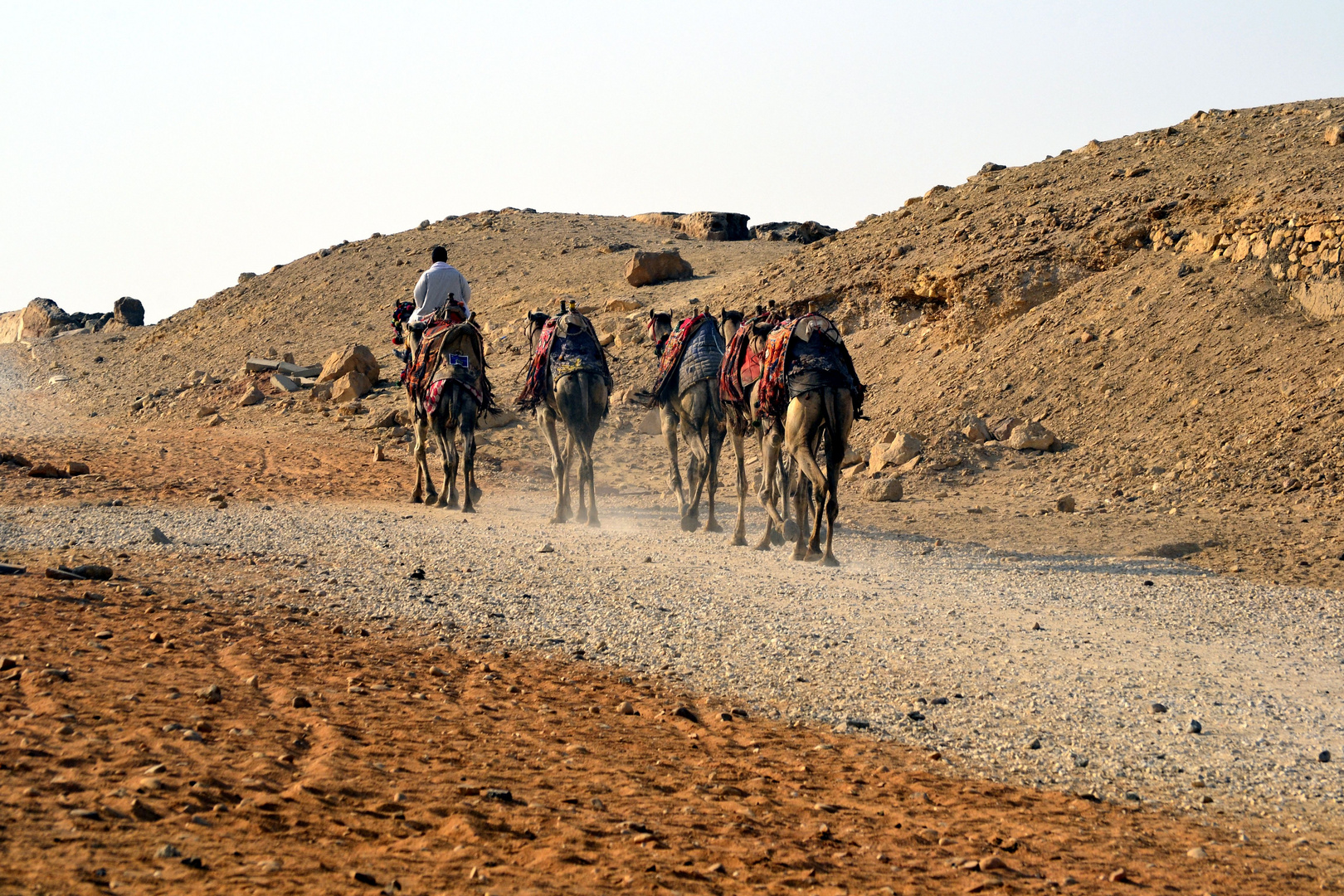Beduinen Wüstenbewohner  in Kairo  
