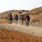 Beduinen Wüstenbewohner  in Kairo  