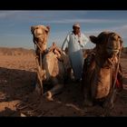 Beduinerjunge mit seinen Kamelen