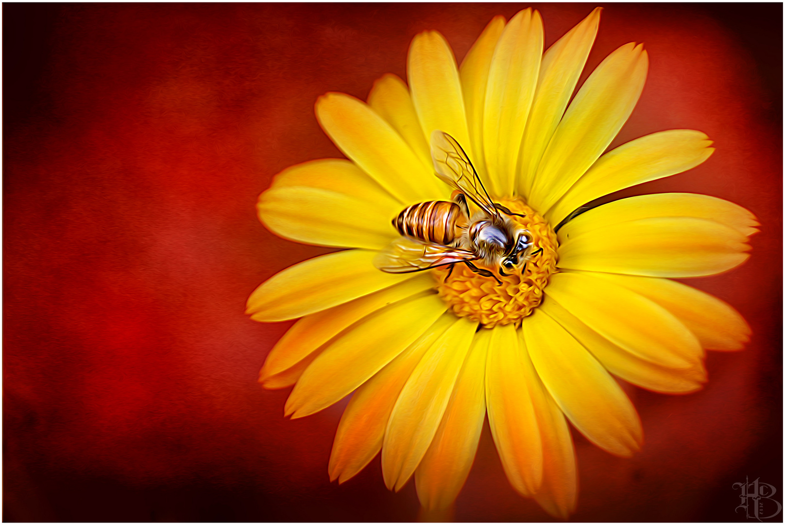 Bee on Flower