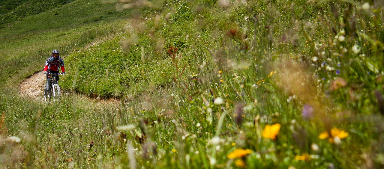 Bee Wilder @ Portes du Soleil