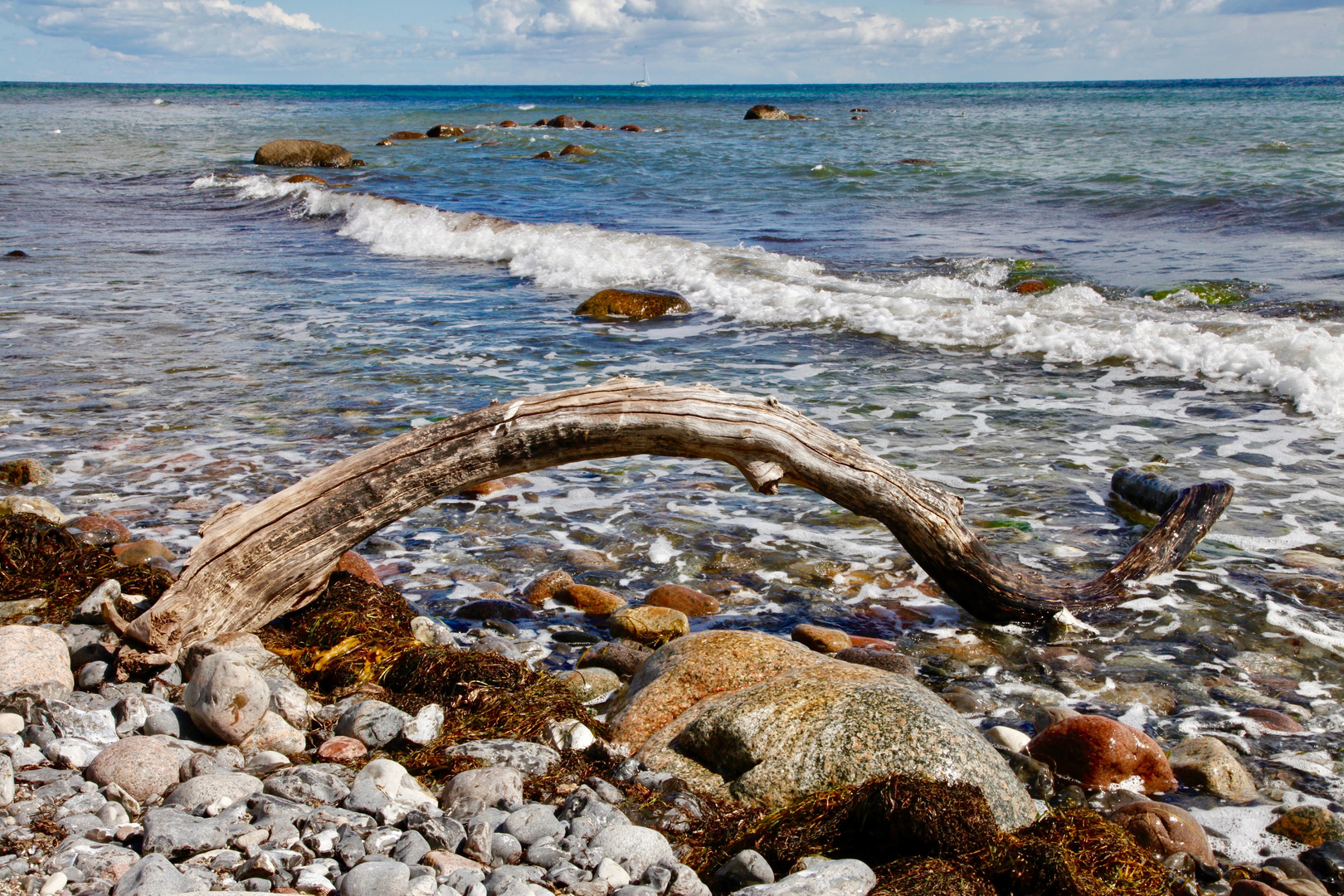 Beech Arch oder Beach Art?