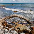 Beech Arch oder Beach Art?