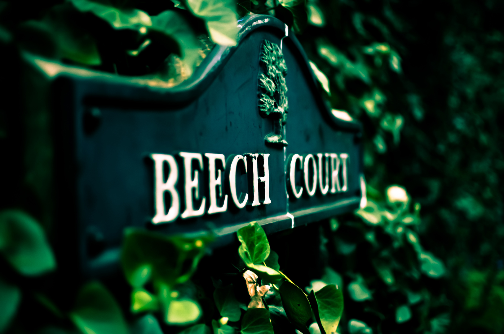 Beech court