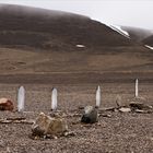 [ Beechey Island ]