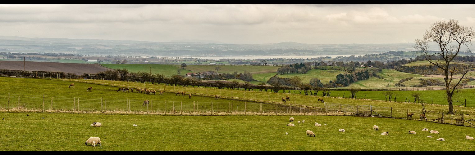 Beecraigs Deer Farm... 