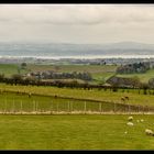 Beecraigs Deer Farm... 