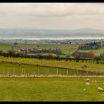 Beecraigs Deer Farm... 