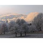 Beedenkirchen im Raureif