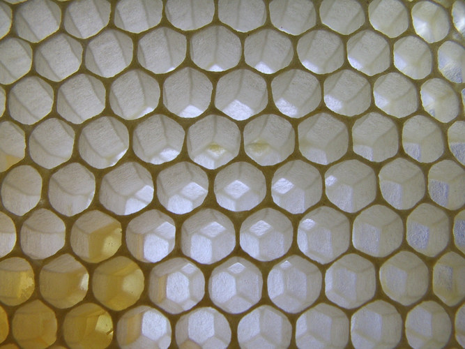 beehive cells