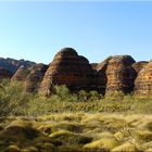 Beehives, 2teiler