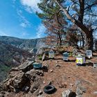 Beehives in Kakoperato region / Samos, Greece,  2010