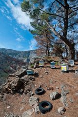 Beehives in Kakoperato region / Samos, Greece,  2010