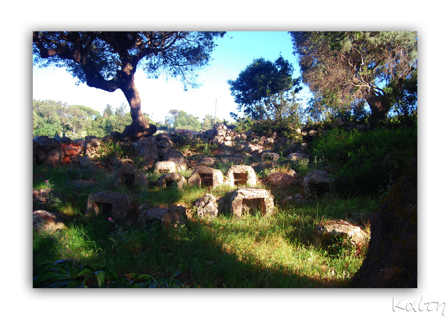 beehives........very very old, ( melissothyrides ) II