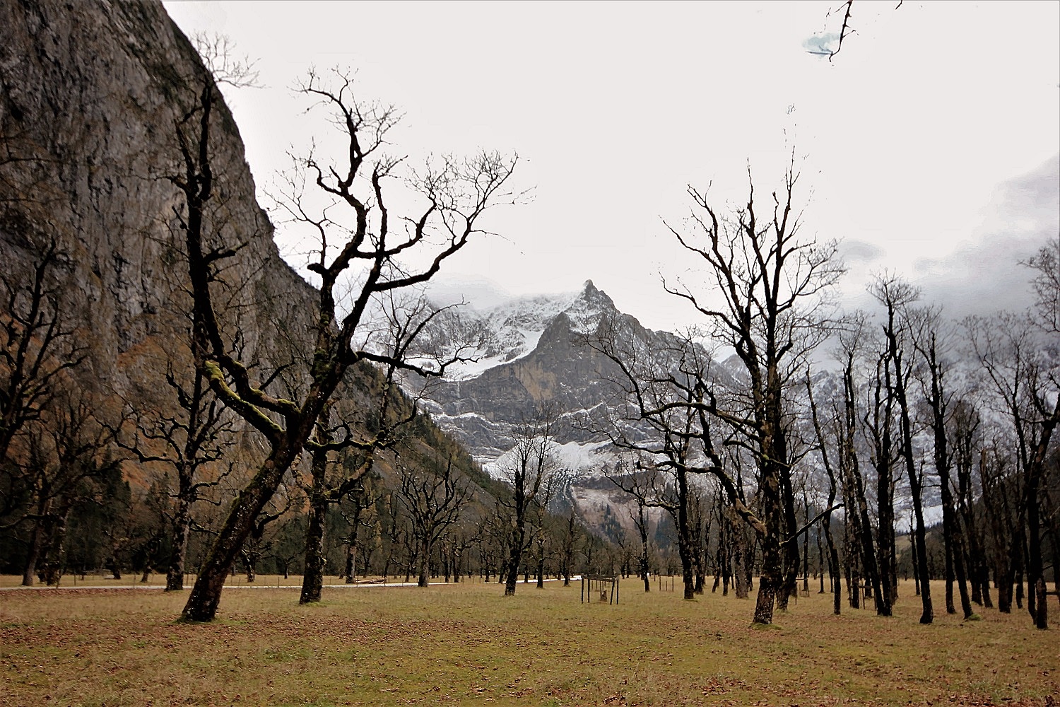 Beeindruckende Berg-und Baumwelt!