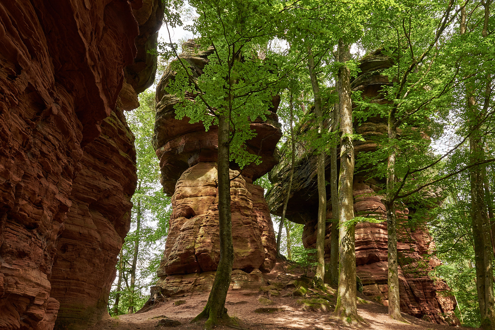 Beeindruckende Kolosse (fast 30 m hoch), sind die Altschlossfelsen.