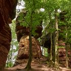 Beeindruckende Kolosse (fast 30 m hoch), sind die Altschlossfelsen.